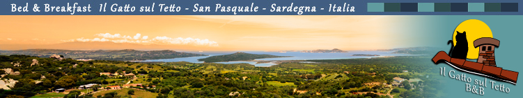 Bed & Breakfast Il Gatto sul Tetto - San Pasquale - Sardegna